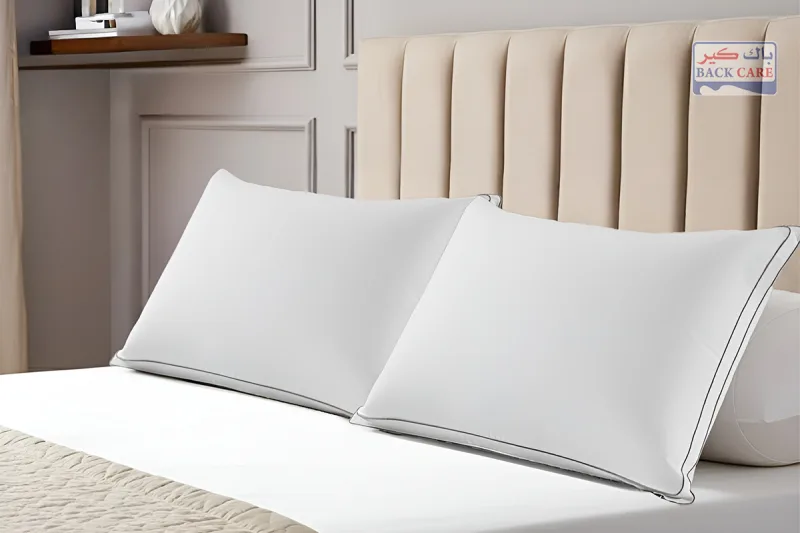 وسادة سباين